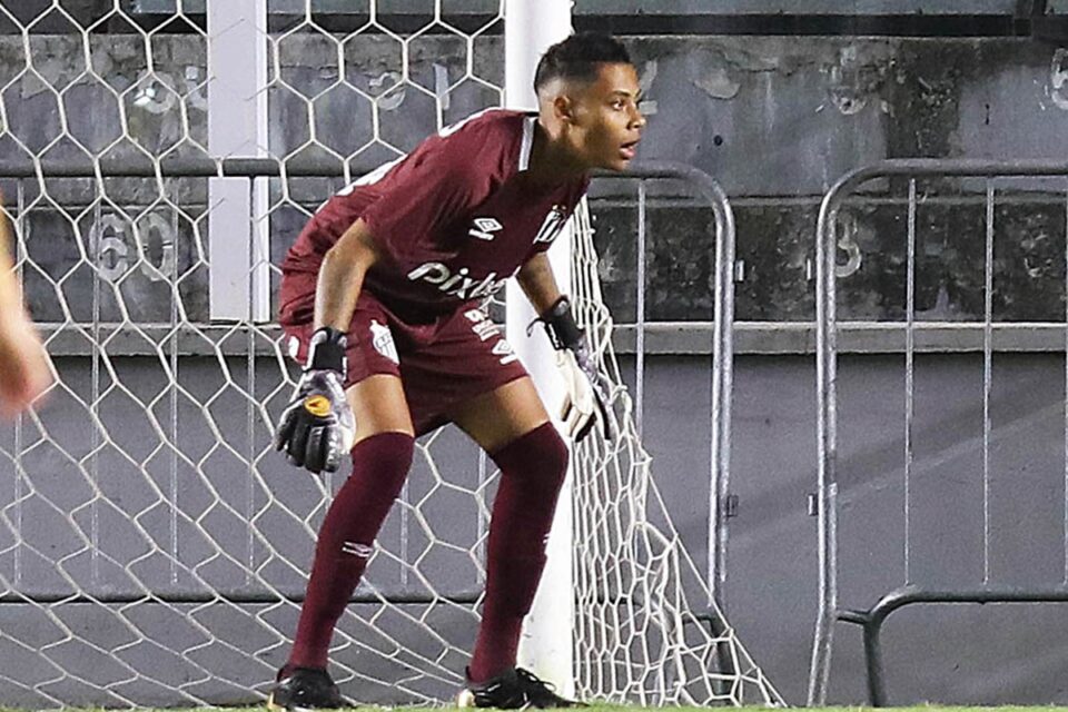 Anna Bia em ação pelo Santos no Campeonato Brasileiro