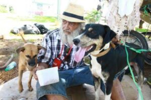 Um homem, de 63 anos, que ficou conhecido por adotar e cuidar de animais de rua, foi assassinado a facadas no domingo (10), em Goiânia (Foto: reprodução)