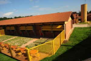 Uma menina de 12 anos ficou levemente ferida após ter sido atingida por uma pedra dentro do Cepi Francisco Maria Dantas, no setor Mansões Paraíso, em Goiânia. De acordo com a Polícia Militar (PM), o acidente aconteceu nesta quinta-feira (8), enquanto acontecia a apresentação de uma banda no pátio da escola.