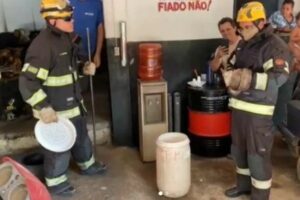 Bombeiros resgatam cobra em borracharia de Caldas Novas (GO)