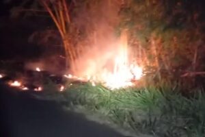 Trabalhador rural é preso ao atear fogo às margens da BR-060 entre Acreúna e Rio Verde