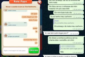 Uma adolescente, de 17 anos, relatou que é agredida pelo namorado e pediu ajuda através do chat de um jogo online. (Foto: reprodução)