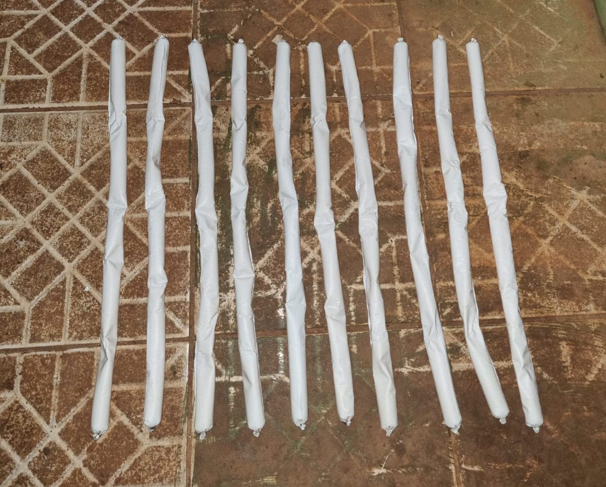 Casal é flagrado com dez bananas de dinamite em Aparecida de Goiânia (Foto: Divulgação)