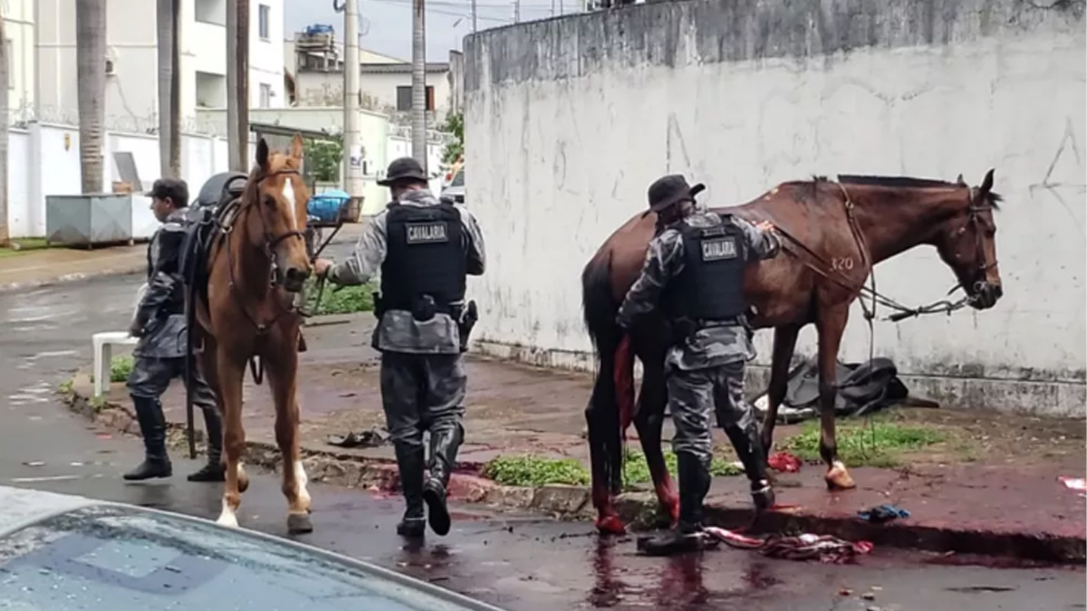 Suspeito de tentar atropelar e matar PMs vai a júri popular em Goiânia