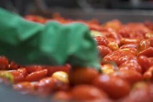Fábrica da Heinz em Nerópolis (GO) abre seleção para 137 vagas de emprego temporárias (Foto: Divulgação)