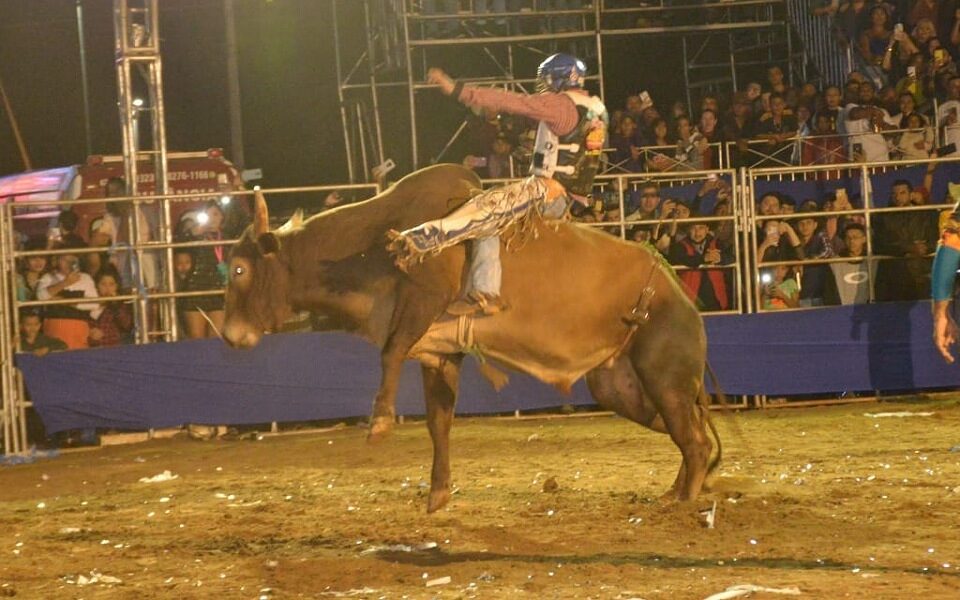 Aparecida é Show