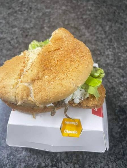 "Obrigado McDonald's pela surpresa no lanche". Cliente diz ter achado sapo em sanduíche de rede de fast food; fotos