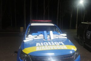 Tabletes de maconha apreendidos pela Polícia. (Foto: Divulgação PM)