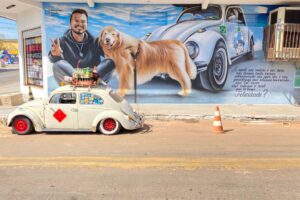O artista goiano Fábio Gomes fez obra em Trindade em homenagem ao influenciador digital de Santa Catarina, Jesse Koz, e ao cão Shurastey. (Foto: arquivo pessoal)
