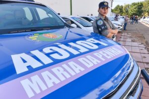 Ministra entrega 30 veículos para conselhos tutelares a patrulha Maria da Penha, em Goiás (Foto: Divulgação)