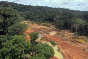 Dados também recuaram em relação a dezembro Desmatamento na Amazônia tem queda de 61% em janeiro, aponta Inpe