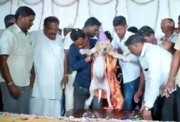 Homem levanta cachorro no momento dos parabéns (Foto: Reprodução - Redes sociais)