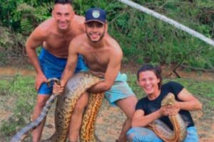 Um casal que salvou um cão de uma sucuri disse que convive com cobras: 'aparecem na cozinha'. O caso ocorreu no Pará. (Foto: reprodução)