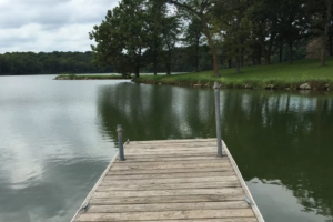 Lago é interditado após nadador ser infectado por ameba 'comedora de cérebro' nos EUA