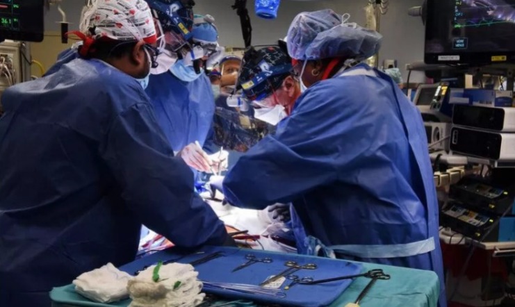 Primeira pessoa com coração de porco transplantado morreu de insuficiência cardíaca, dizem médicos