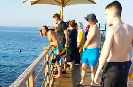Vítima é Elisabeth Sauer, 68 anos. Salva-vidas riram de alerta dado por turistas minutos antes de tubarão matar mulher no Egito; vídeo