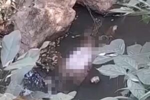 Homem desaparecido é encontrado morto em córrego de Cumari (GO)