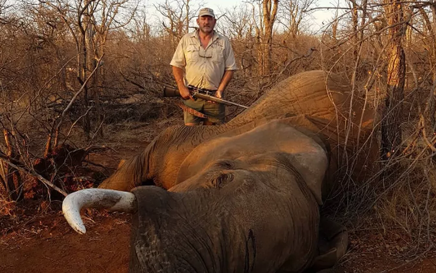 Caçador de animais selvagens é morto a tiros na África do Sul