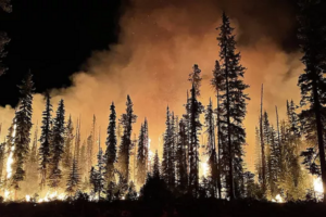 Incêndio florestal força retirada de milhares de pessoas na Califórnia