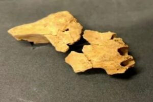 Pesquisadores encontram na Espanha o fóssil de rosto humano mais antigo da Europa (Foto: Reprodução)