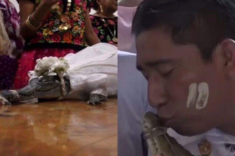 Prefeito se casa com jacaré vestido de noiva e sela união com beijo no México (Foto: Reprodução)