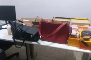 Babá furta U$ 18 mil de patrão para comprar celulares, bolsas e acessórios em Águas Lindas