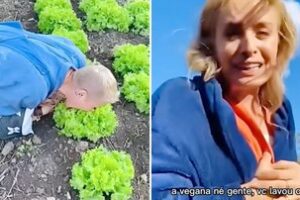 Em vídeo, Xuxa come alface do chão e Angélica brinca: 'A vegana, gente'