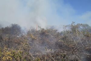 Governo federal reconhece emergência em cidades de Mato Grosso do Sul