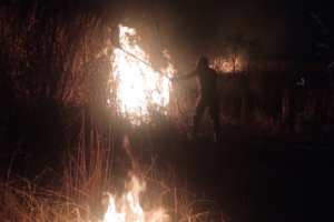 Abafadores são utilizados para controle das chamas. (Foto: BM)