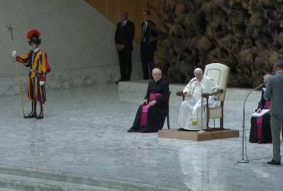 Guarda desmaia durante audiência do papa Francisco no Vaticano