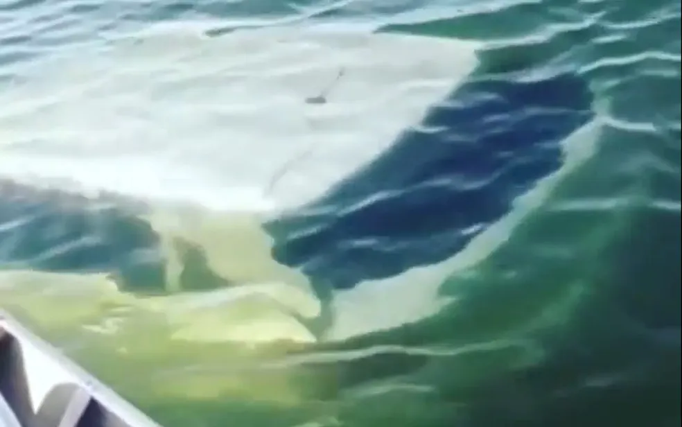 Carro encontrado afundado no Lago Serra da Mesa em Uruaçu - Foto: Reprodução / Redes Sociais