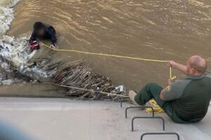 Imigrante brasileiro é resgatado de canal na fronteira dos EUA com México (Foto: Reprodução)