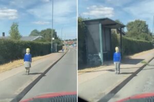 Bonecos em tamanho infantil colocados à margem de estrada no Reino Unido assustam motoristas (Foto Reprodução)