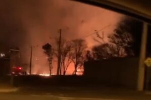 Bombeiros combatem incêndio em vegetação no Parque Macambira, em Goiânia