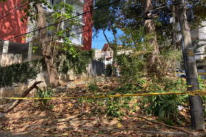 Mulher morre ao ser atingida por galho de árvore no Rio de Janeiro
