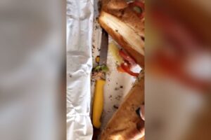 Mulher acha faca dentro de sanduíche de rede de fast food na Inglaterra