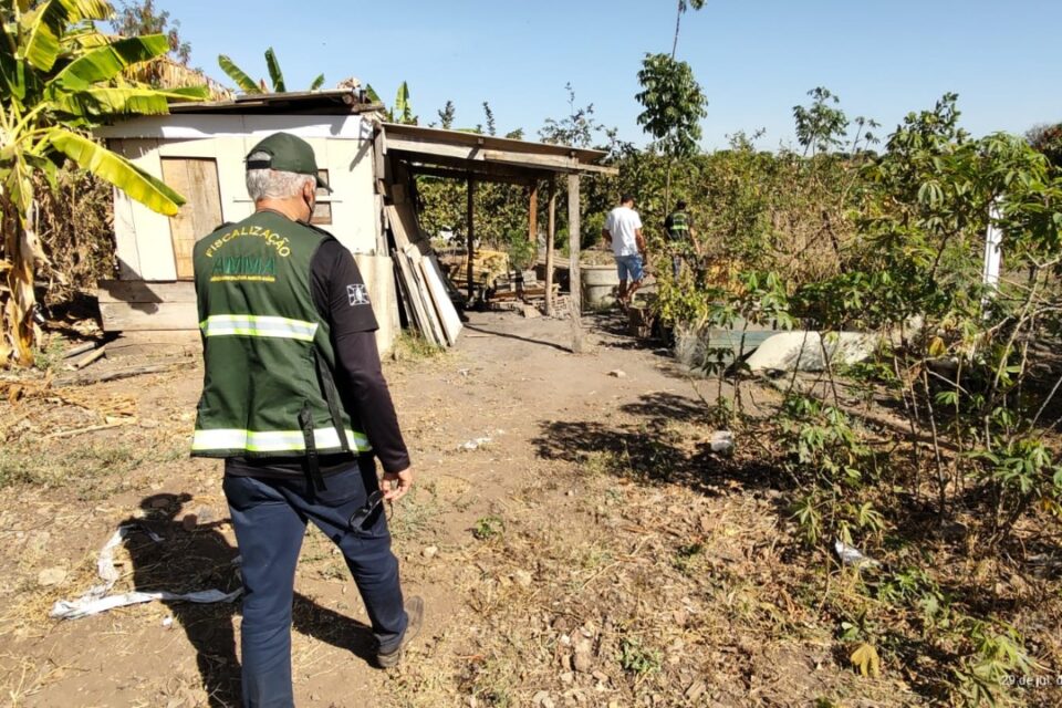 Um grupo foi multado por desmatar uma Área de Preservação Permanente (APP), no Residencial Senador Albino Boaventura, em Goiânia. (Foto: divulgação)