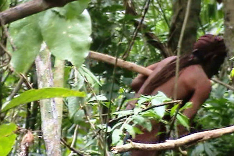 Homem vivia sozinho na floresta e foi acompanhado à distância pela Funai. Morre último remanescente de grupo indígena isolado na Amazônia