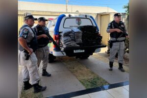 Polícia apreende 150 kg de maconha que seria entregue em Goiânia