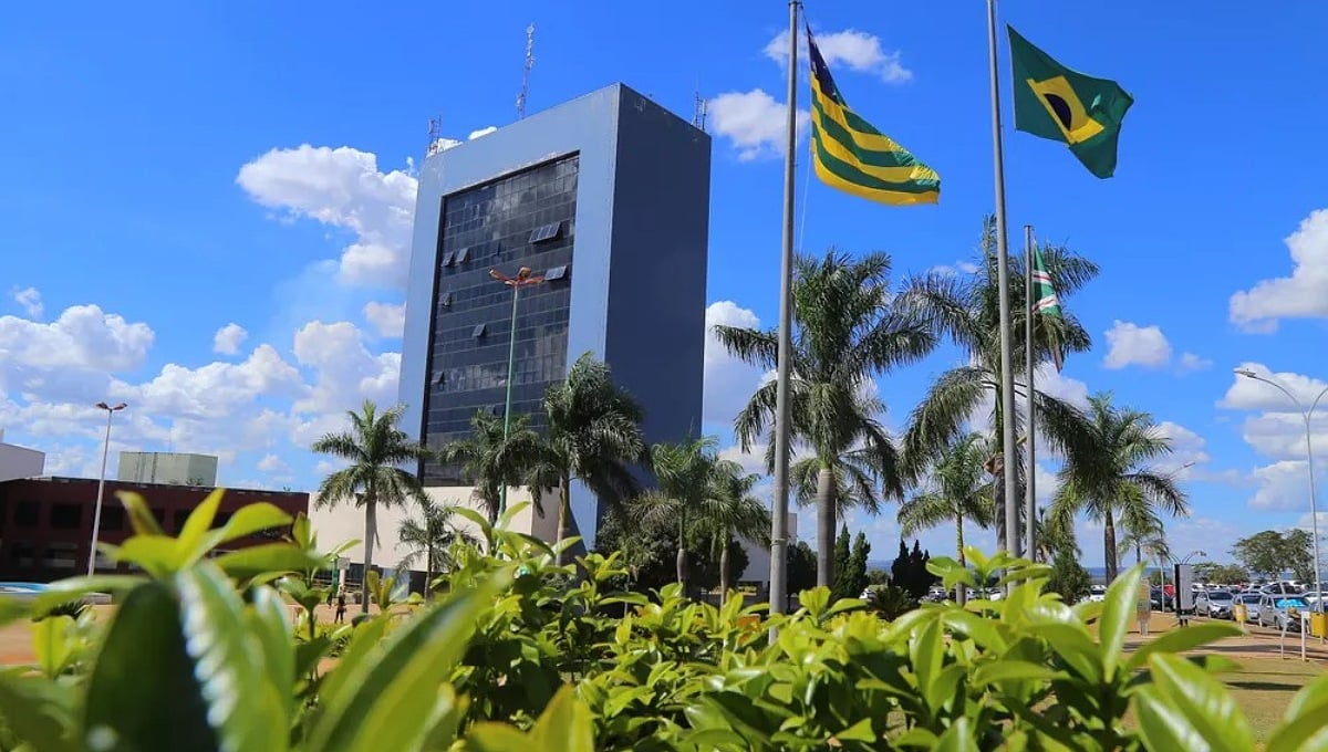 Goiânia terá ponto facultativo em jogos da seleção na Copa do