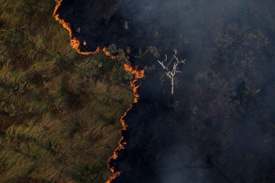 Amazônia começa a colapsar em 2050, diz estudo 10% a 47% da mata remanescente podem não ter umidade suficiente