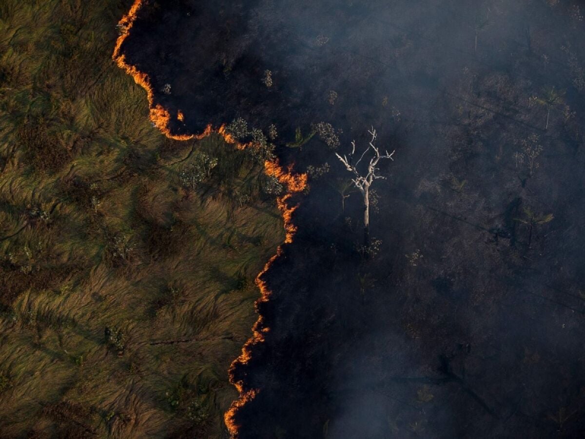 Foto: Bruno Kelly - Amazônia Real