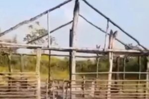 Pistoleiros invadem comunidade de camponeses e destroem escola no Pará