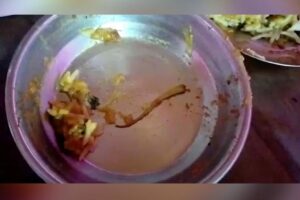 Homem encontra rabo de lagarto em prato de restaurante e é internado na Índia
