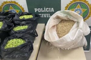 Ele oferecia produto em feiras nordestinas. Homem é preso no Rio por tingir de verde feijão fradinho para vender como feijão de corda