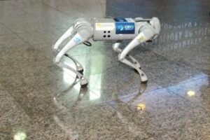 Cão robô de alunos da UFG é pioneiro na América do Sul