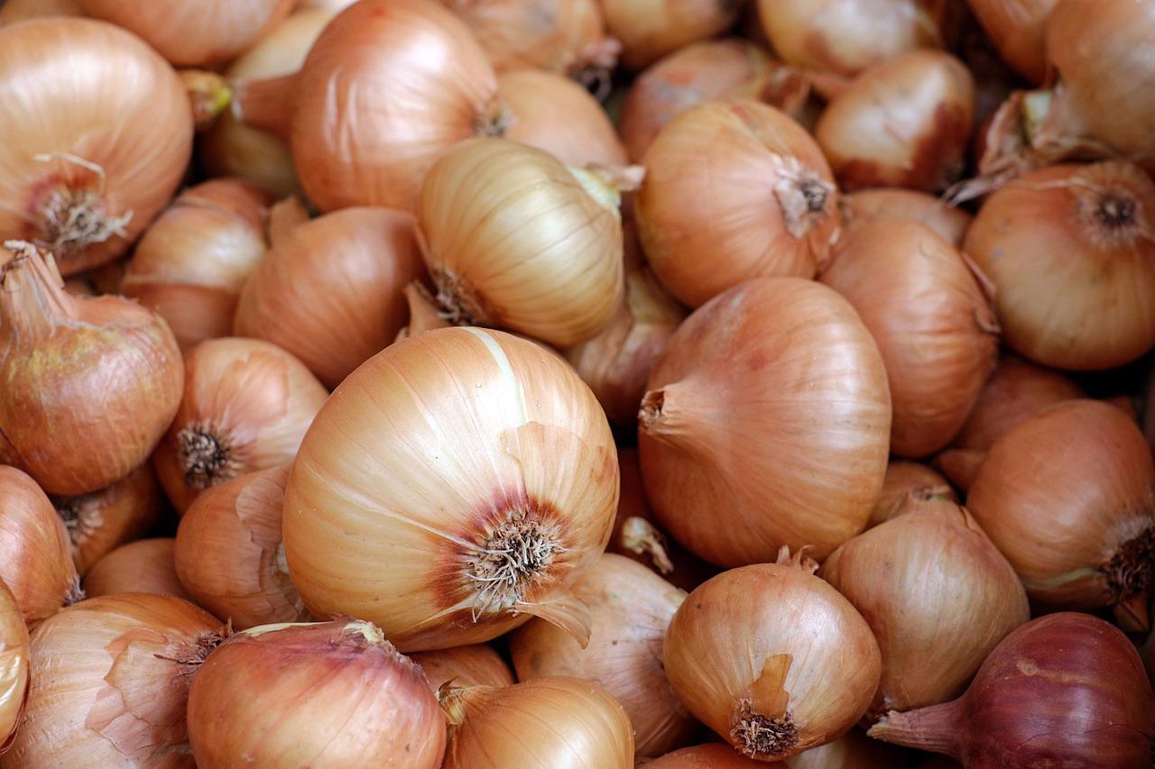 Preço da cebola quase dobra em 12 meses; veja 10 maiores altas da inflação (Foto: Pixabay)