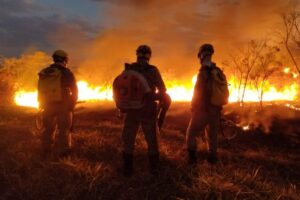 Incêndio consome área equivalente a 150 campos de futebol em Goiânia (Foto: Bombeiros)