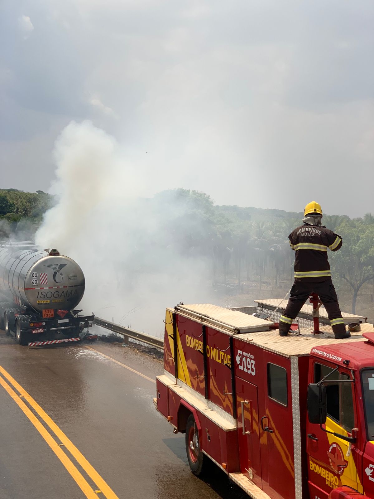 Veículo de carga pega fogo na GO-568, perto de Palmeiras de Goiás (Foto: Bombeiros)