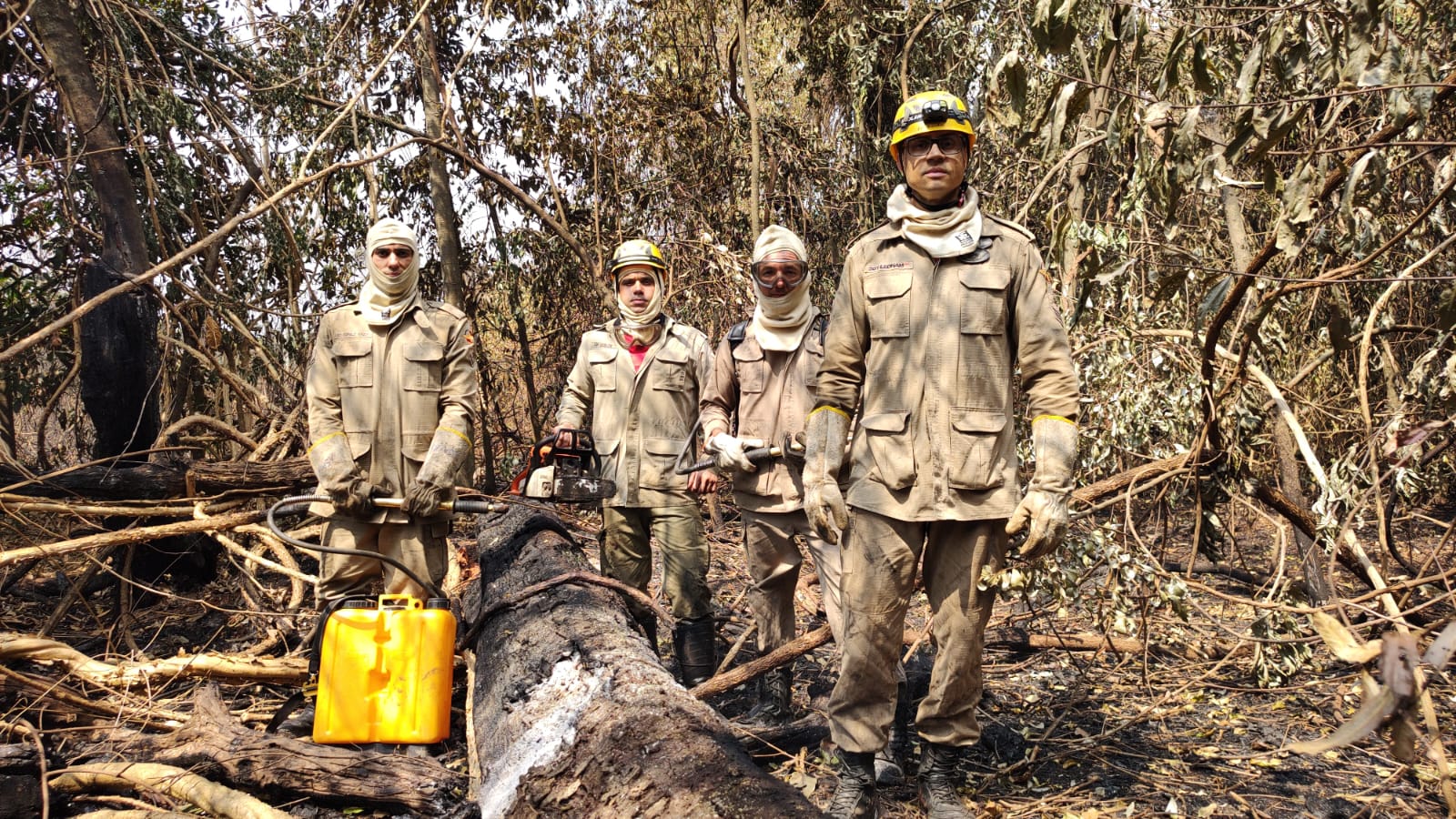 Equipe acionada para combate a incêndio em mata (Foto: Corpo de Bombeiros)